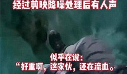 广州黑店爆料事件真相视频,揭露背后惊人内幕