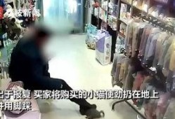 女子店内视频爆料大全最新,揭秘真实生活瞬间